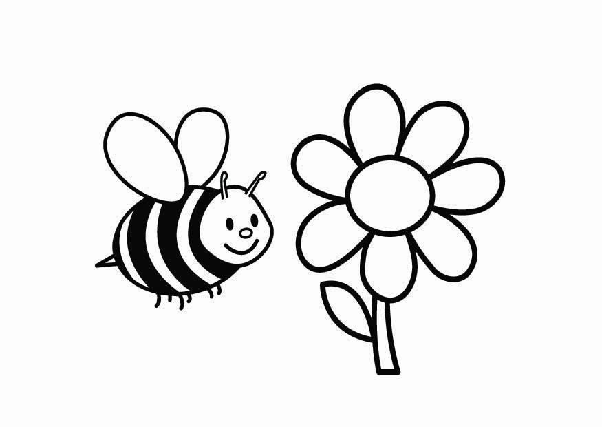 desenhos para colorir sobre animais em extinção