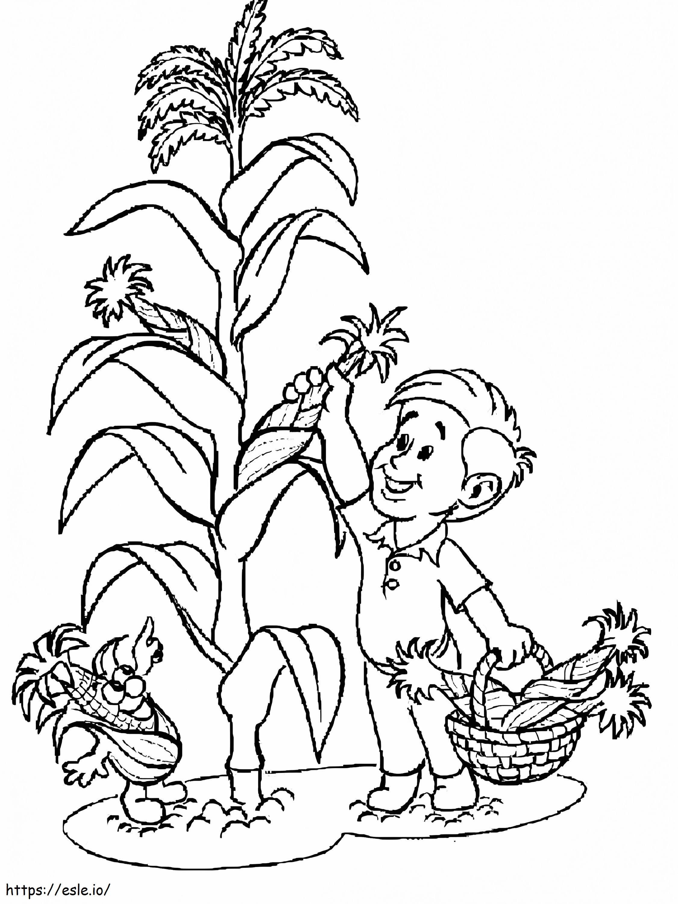 espiga de milho para colorir