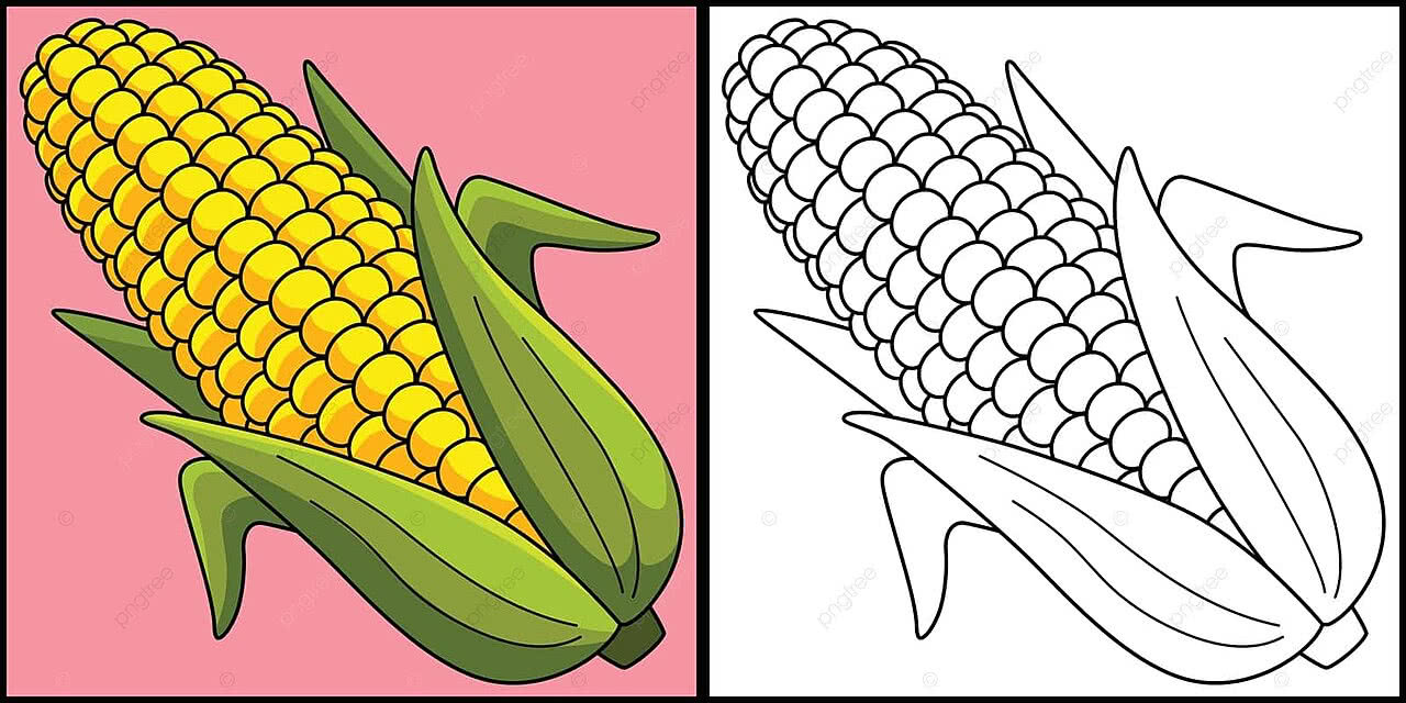 espiga de milho para colorir