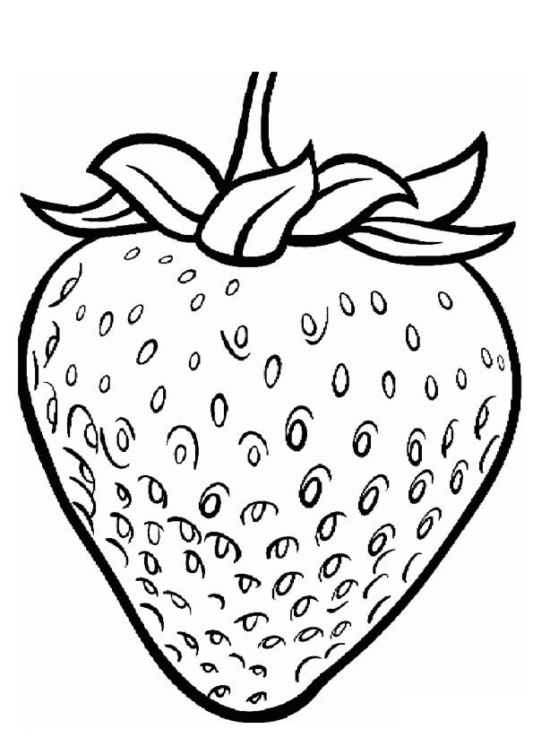 desenho de morango em aquarela para colorir