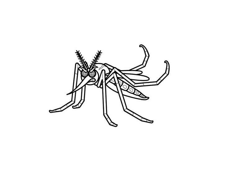 desenho mosquito da dengue para pintar