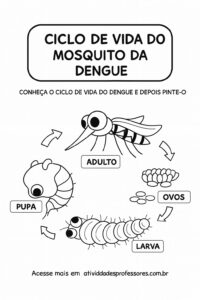 ilustração Aedes aegypti para colorir