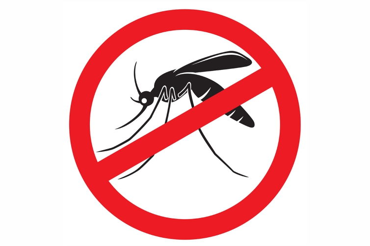 dengue desenho educativo