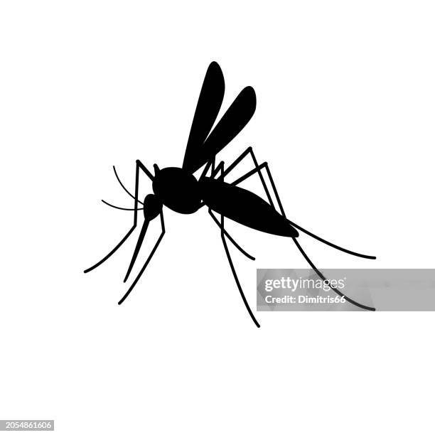 folha de atividades dengue