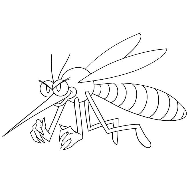 desenho mosquito da dengue para pintar