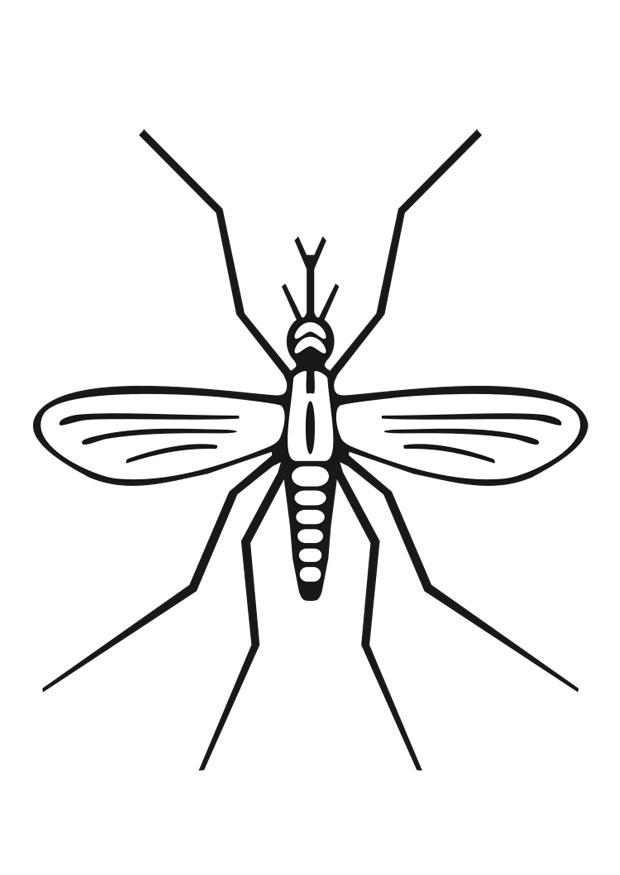 atividade escolar sobre dengue para imprimir