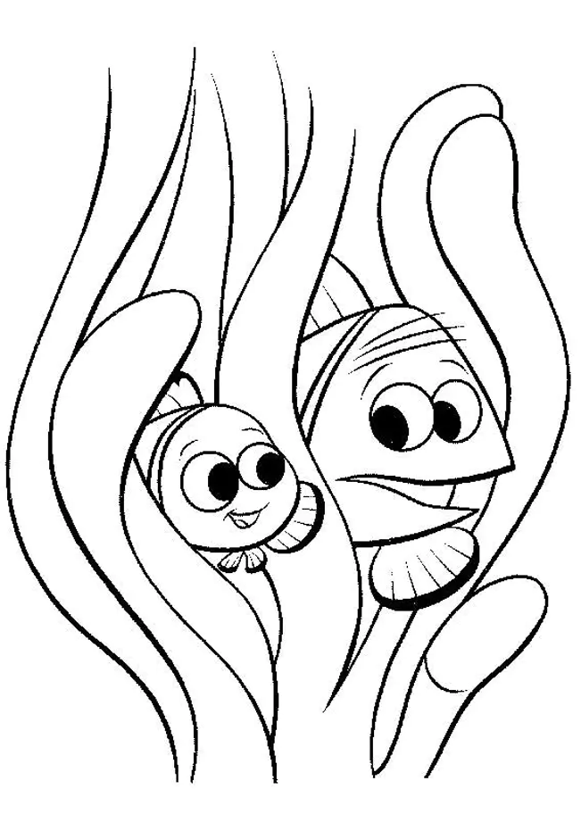 procurando nemo colorir