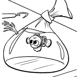 personagens procurando nemo para colorir