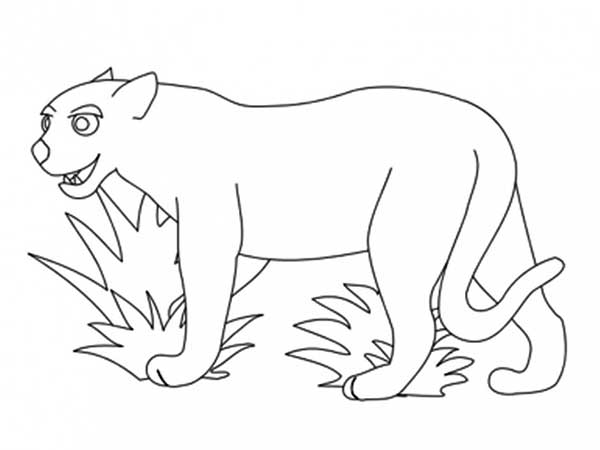 desenho de onça para colorir e imprimir grátis