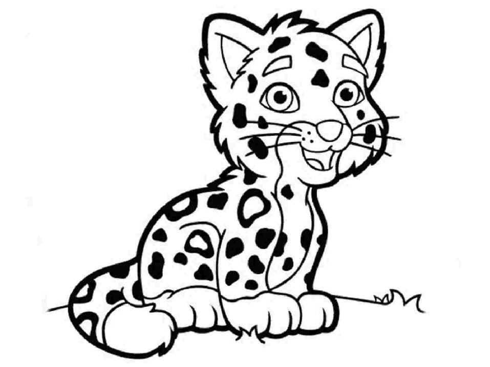 onça pintada para colorir online