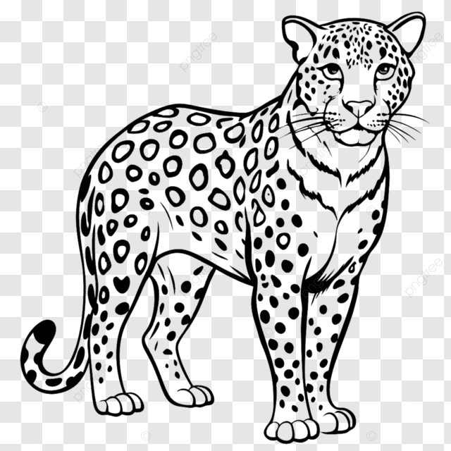desenho de onça pintada para atividade escolar