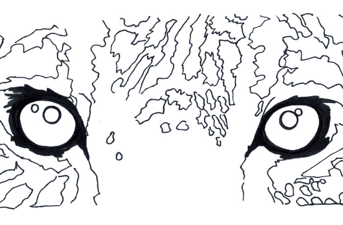 desenhos de animais brasileiros para colorir