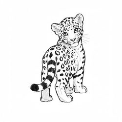 desenho onça pintada simples para colorir
