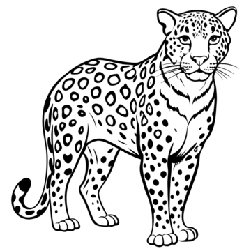 desenho onça pintada para imprimir e colorir