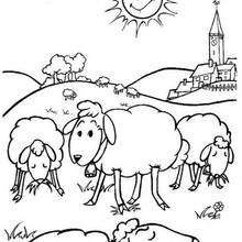 desenho de ovelha religiosa para colorir