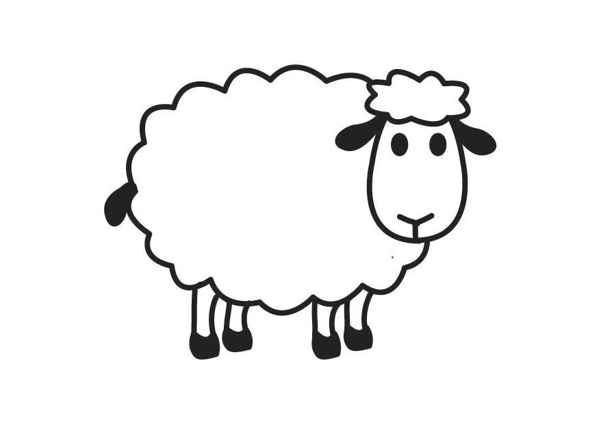 desenhos de ovelhinhas para colorir