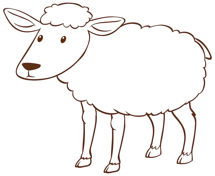 ovelhinha desenho para colorir simples