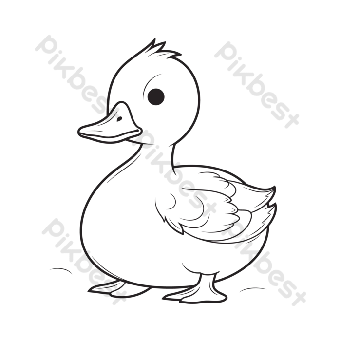 desenho de pato realista para colorir