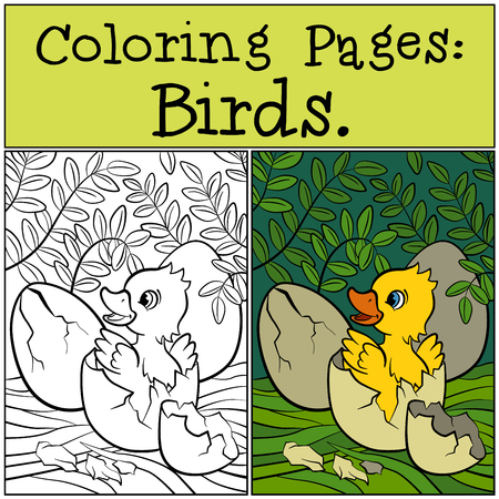desenho de pato para colorir com asas