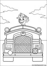 desenho do Zuma para colorir