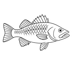 desenho de peixe beta para pintar
