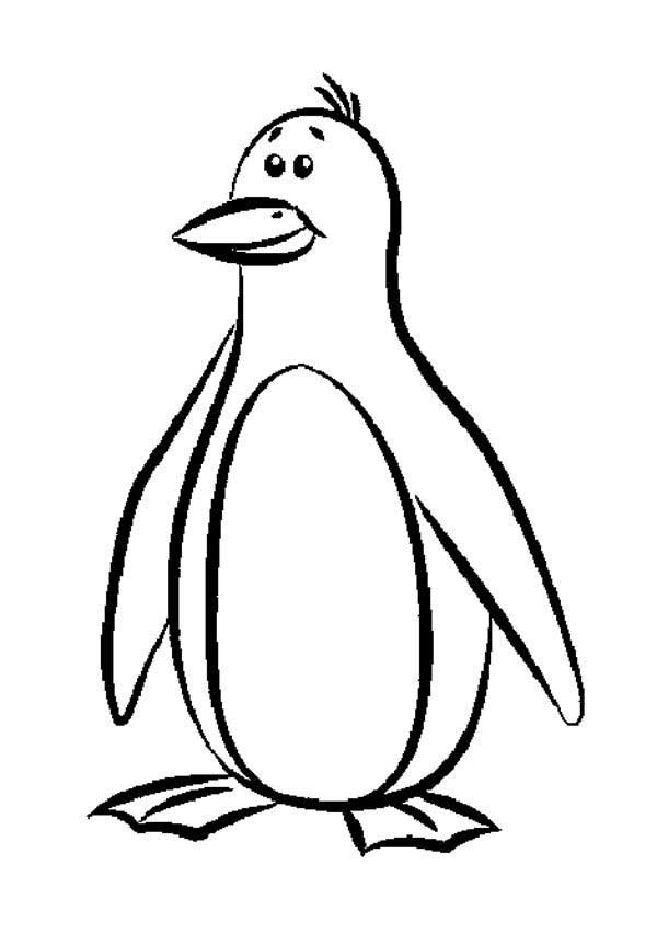pinguim desenho para pintar