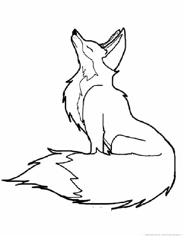 desenho de raposa simples para colorir