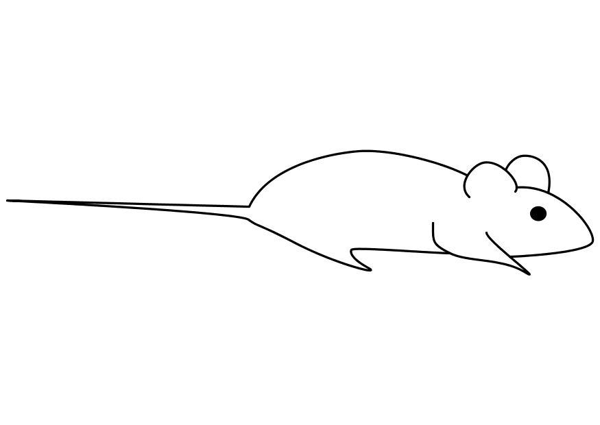 desenho de rato em preto e branco