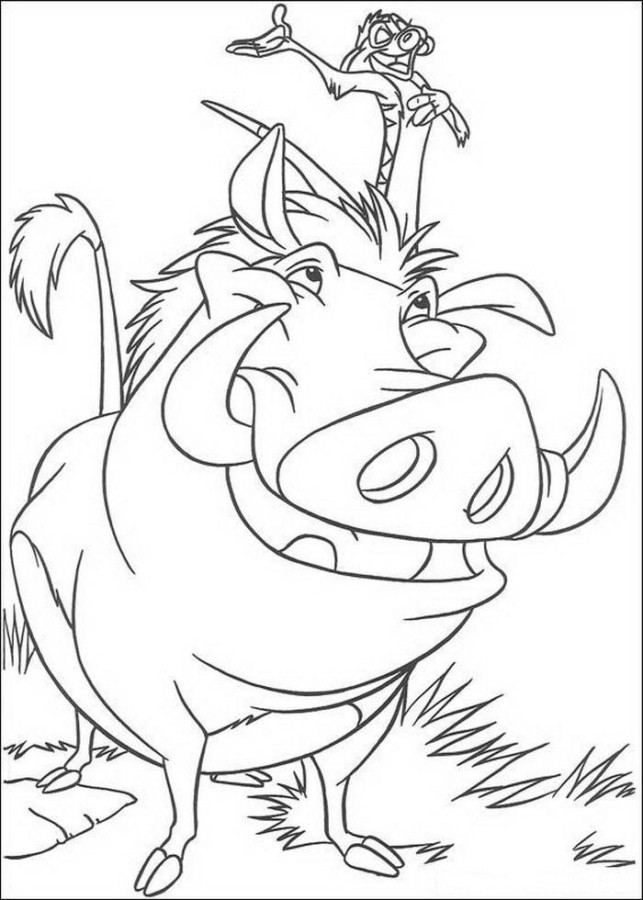timão e pumba para colorir