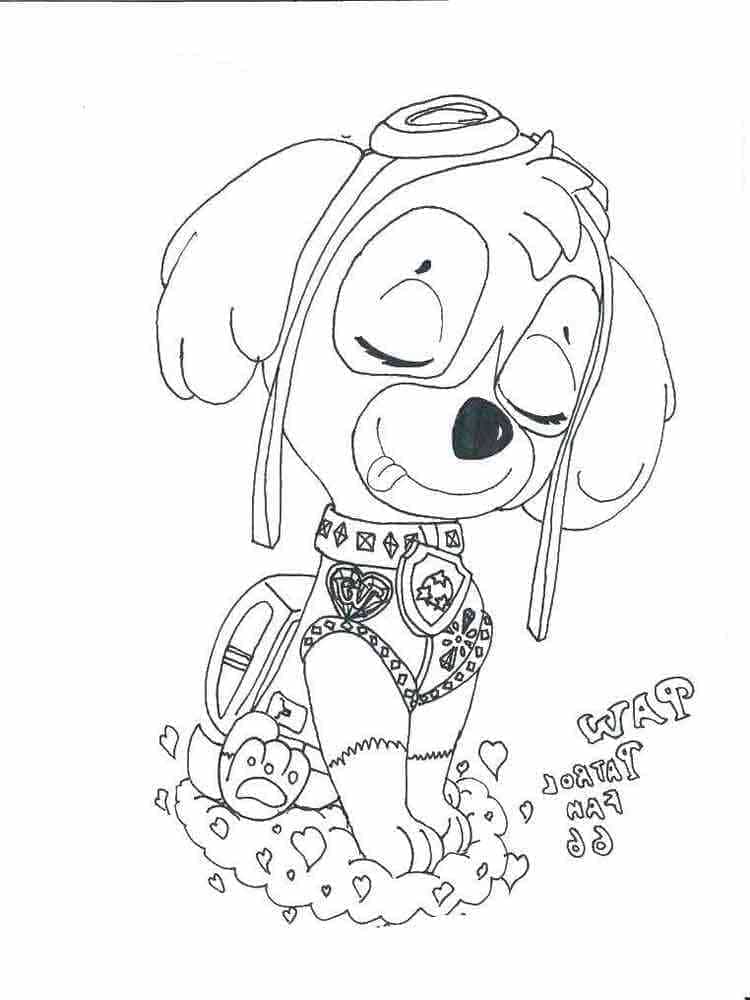 desenhos infantis skye patrulha canina