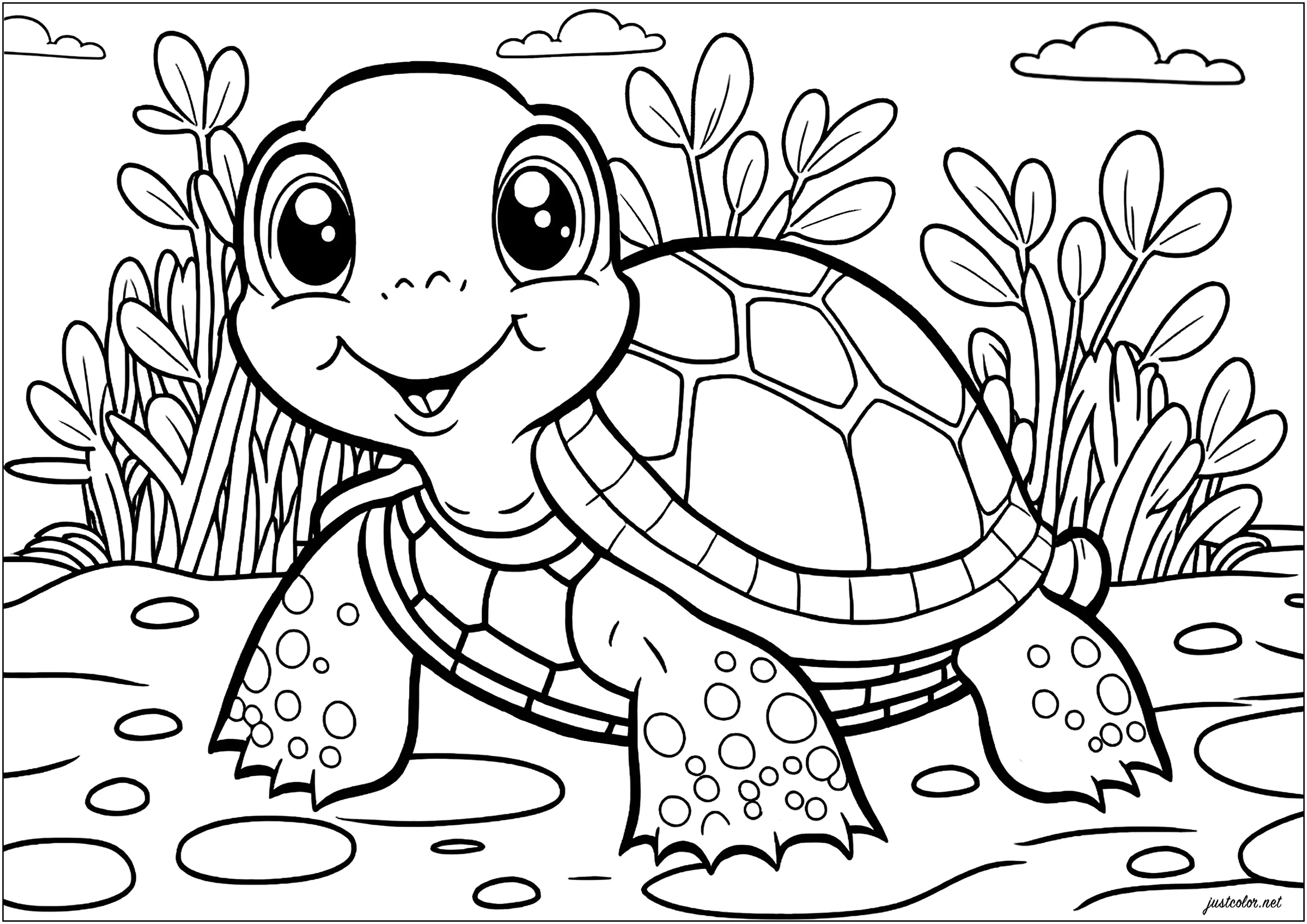 desenhos de tartarugas para imprimir e colorir