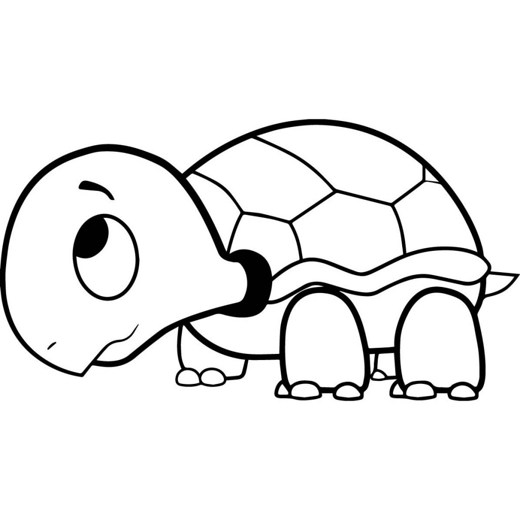 tartaruga realista para colorir