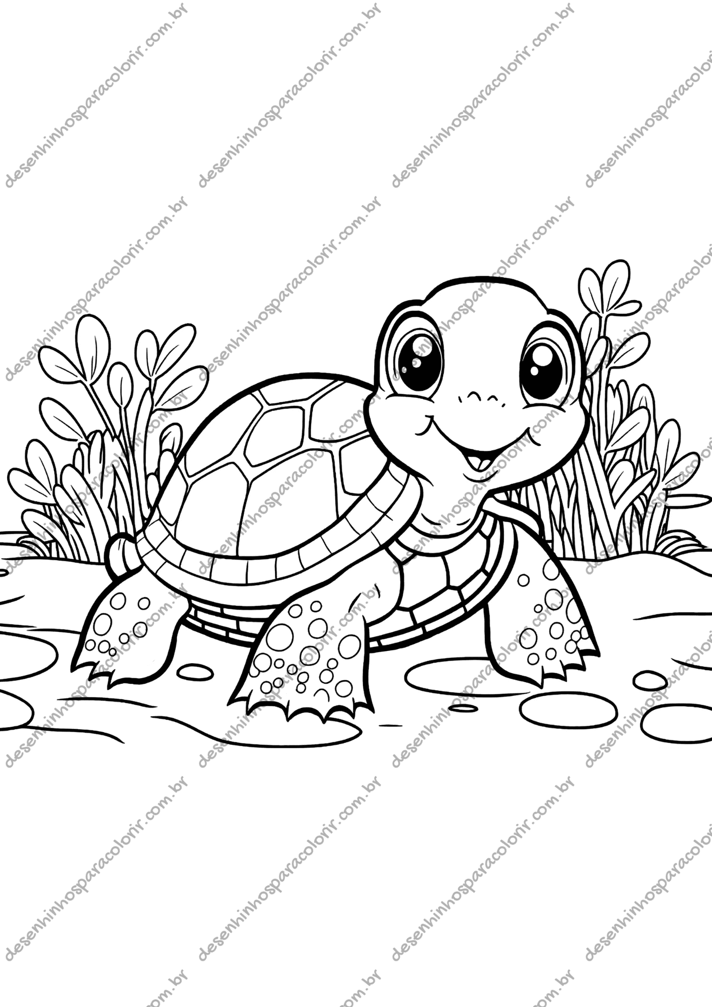tartaruga de plastico para colorir (referência a brinquedos)