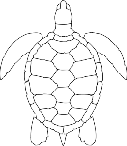 desenhos de tartarugas para imprimir e colorir