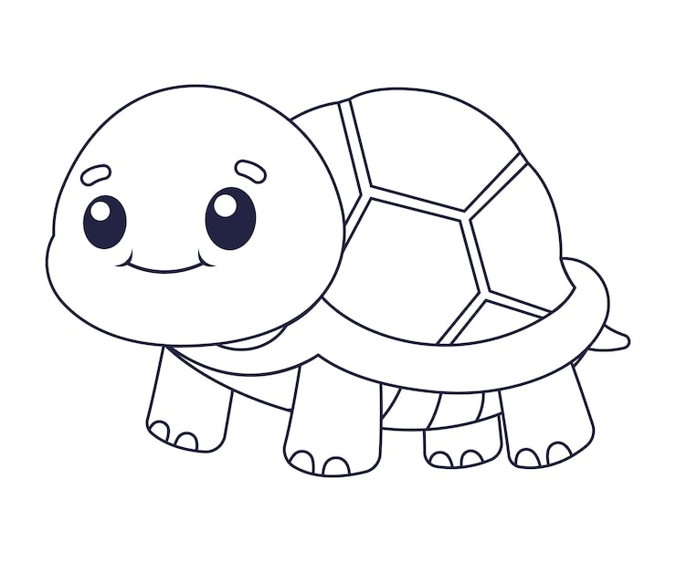 desenho de tartaruga simples para colorir