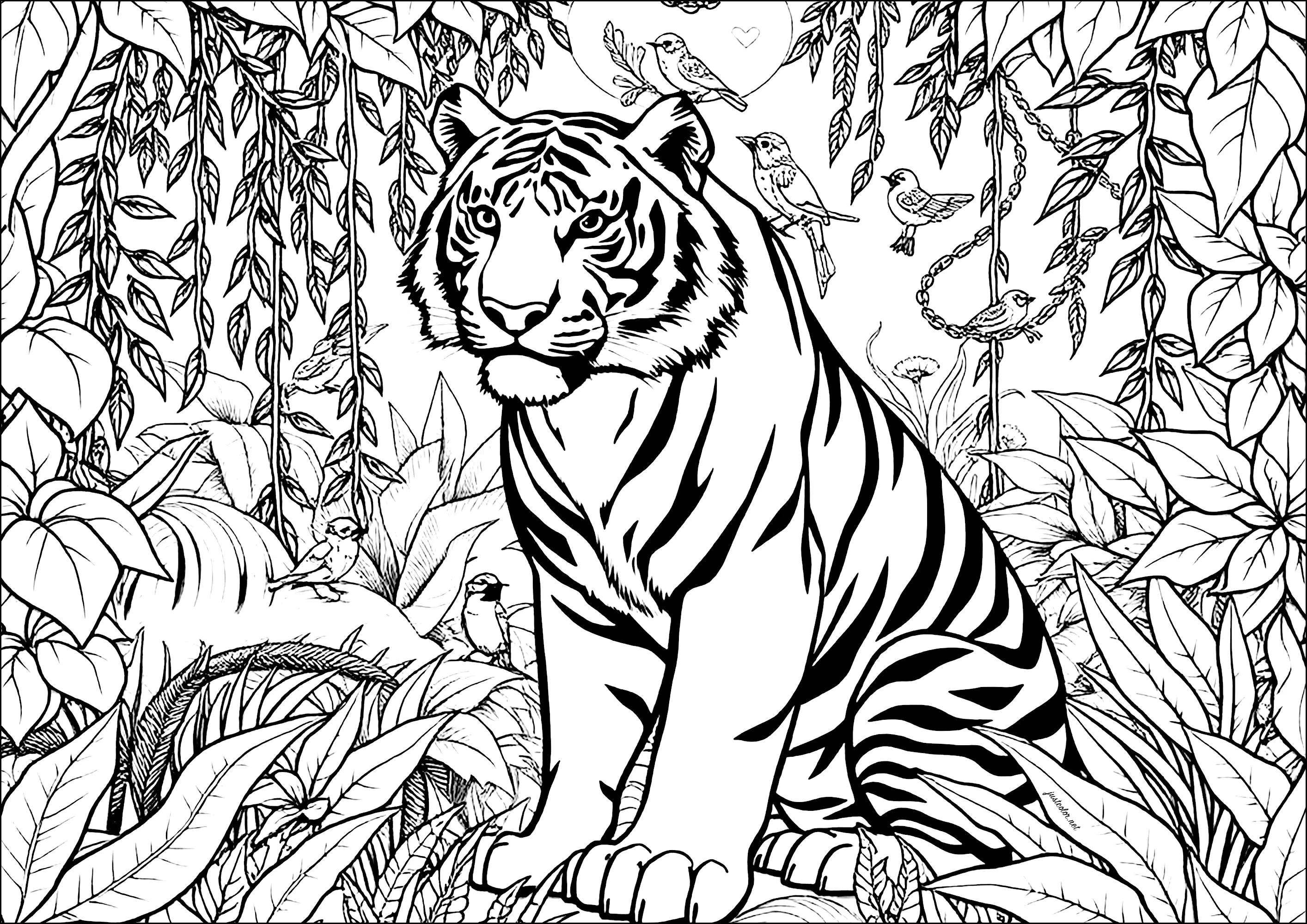 tigre para pintar