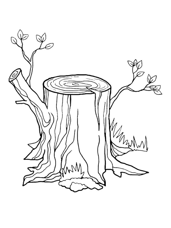 desenho de tronco de árvore realista