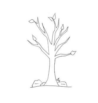 desenho de tronco de árvore sem folhas
