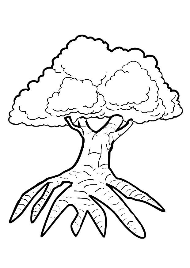 desenho de árvore para adultos colorir