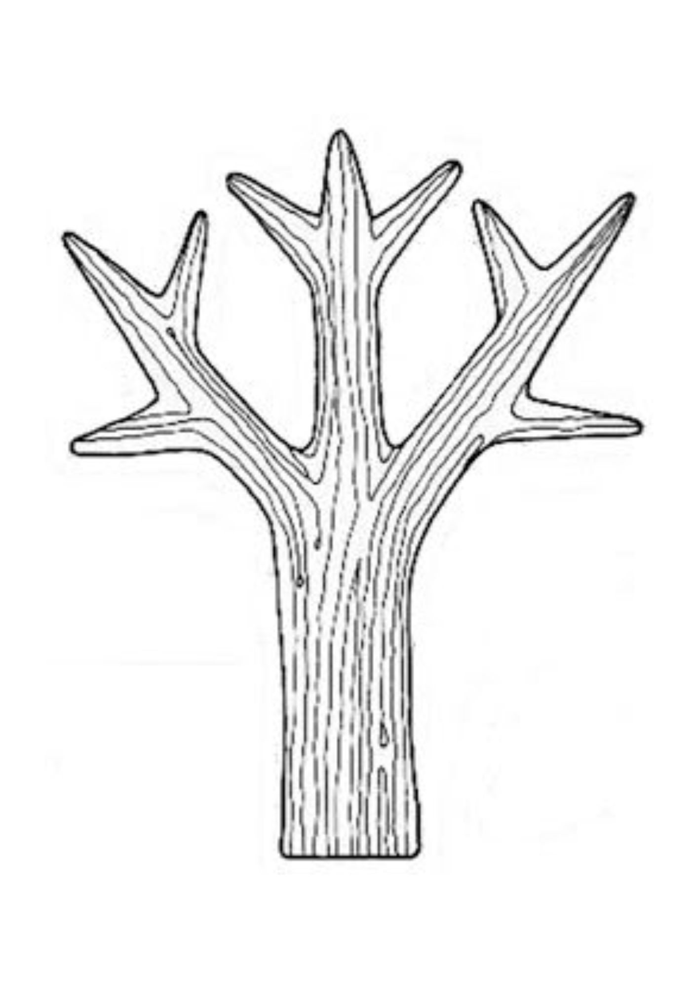 desenho de árvore para crianças colorir