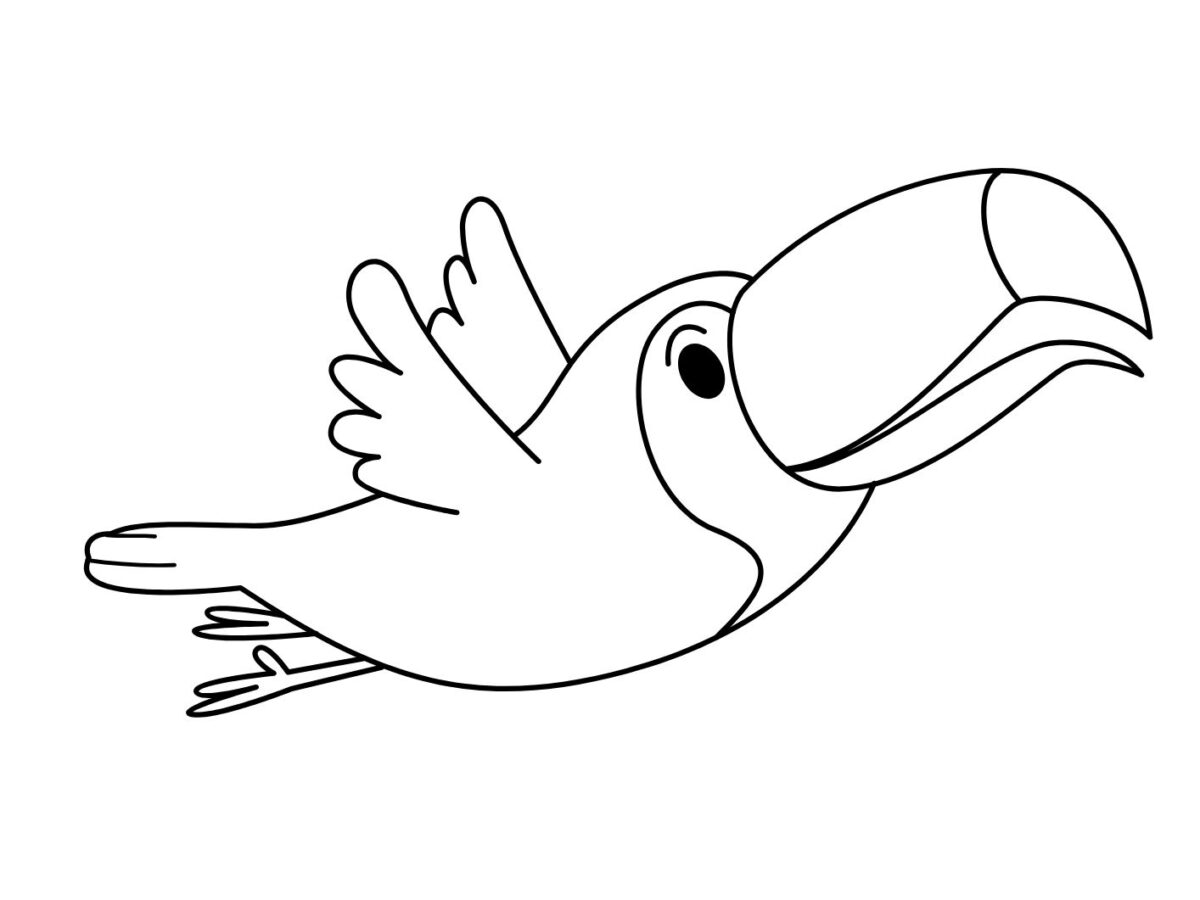 cores de tucano para desenho
