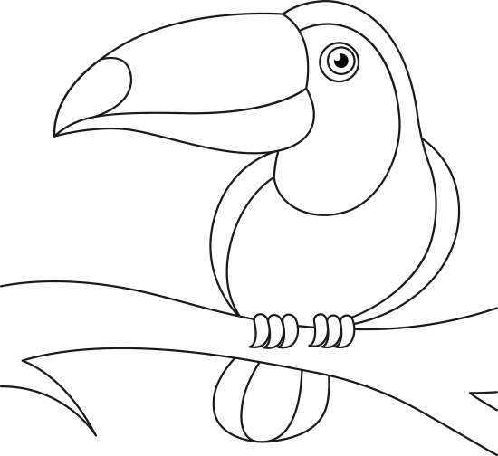 desenho de tucano para imprimir grátis