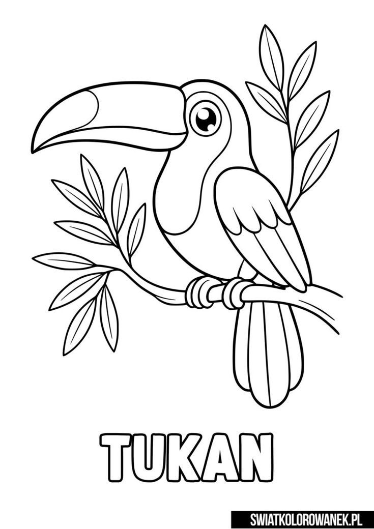 como pintar bico de tucano