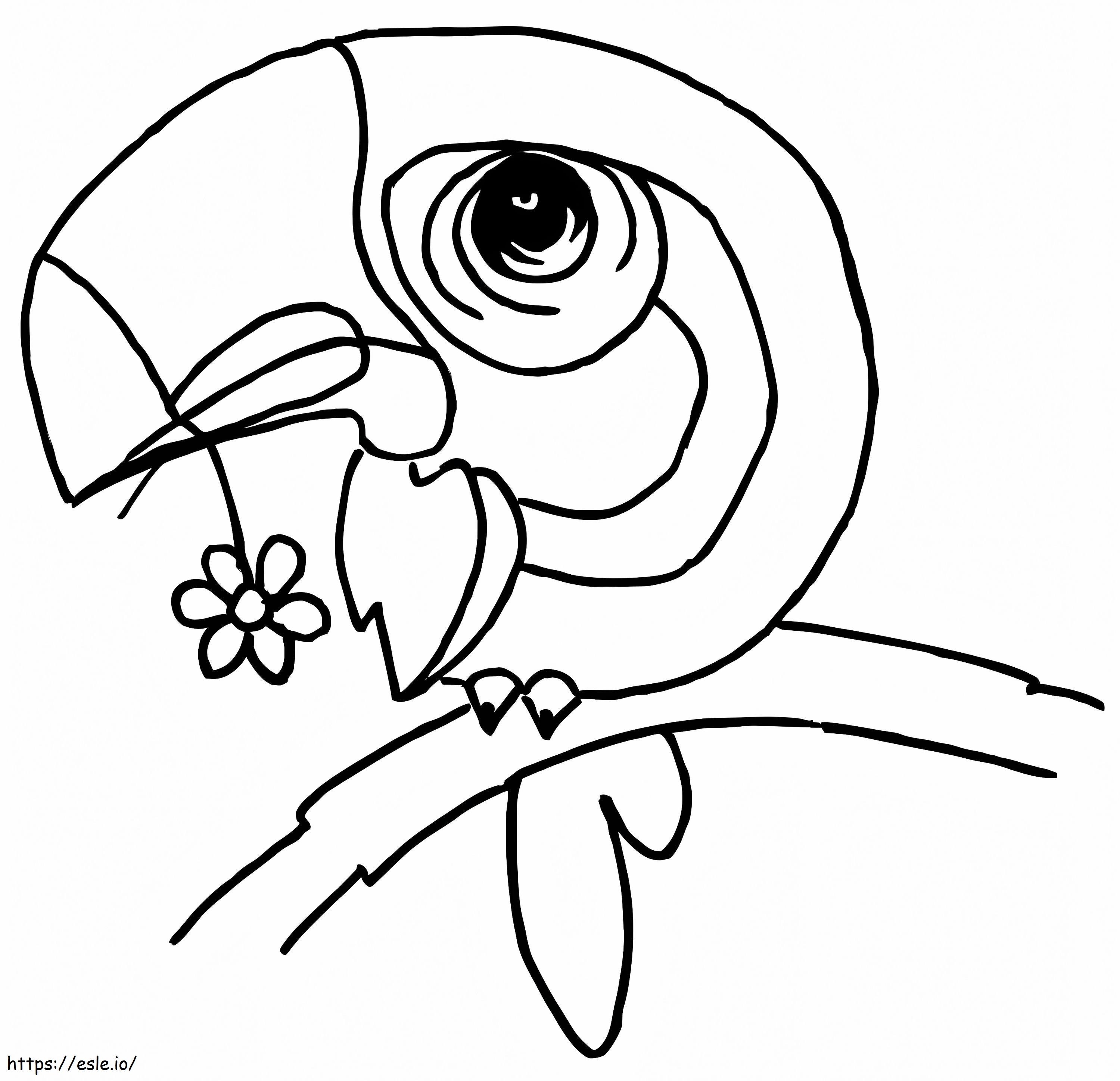 desenho de tucano para imprimir grátis