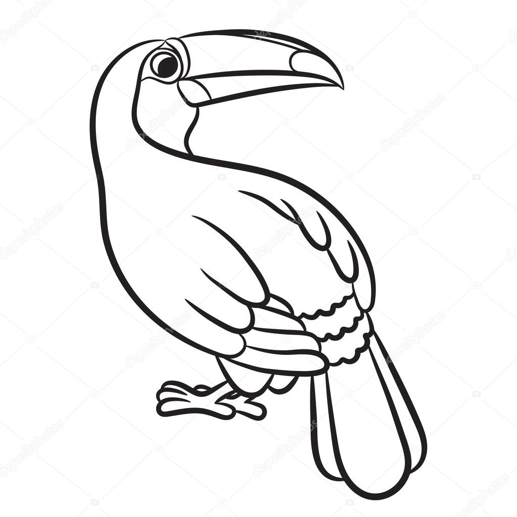 desenho de tucano realista passo a passo