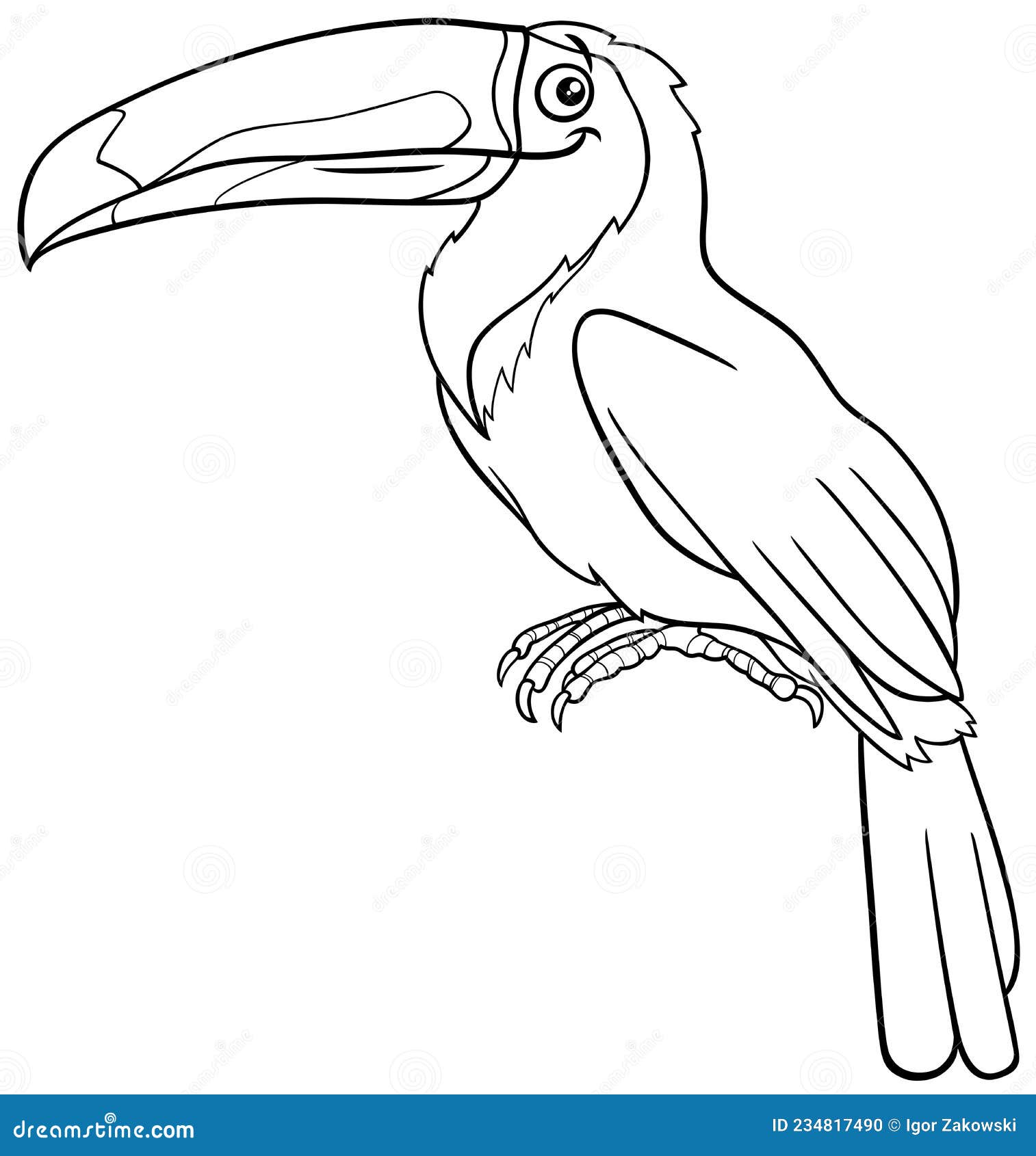 tucano para colorir com lápis de cor