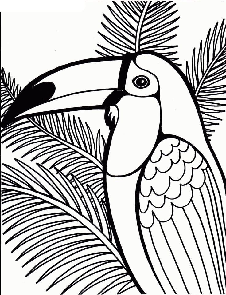tucano para colorir com giz de cera