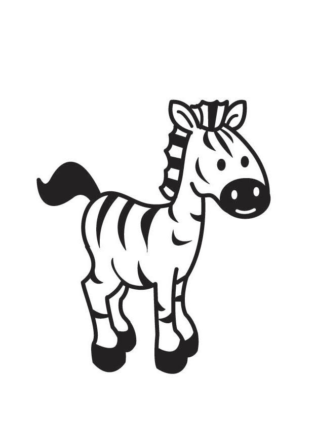 zebra dourada para colorir