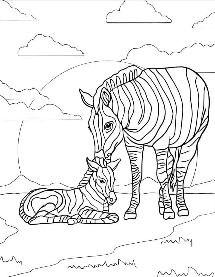 desenho de zebra realista para colorir