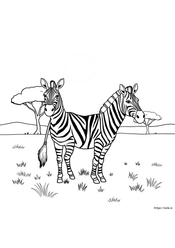 zebra com filhote para colorir